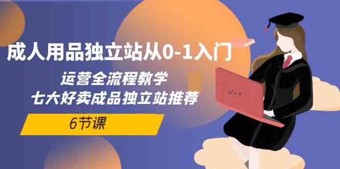 （10082期）成人用品独立站从0-1入门，运营全流程教学，七大好卖成品独立站推荐-6节课-占领资源网