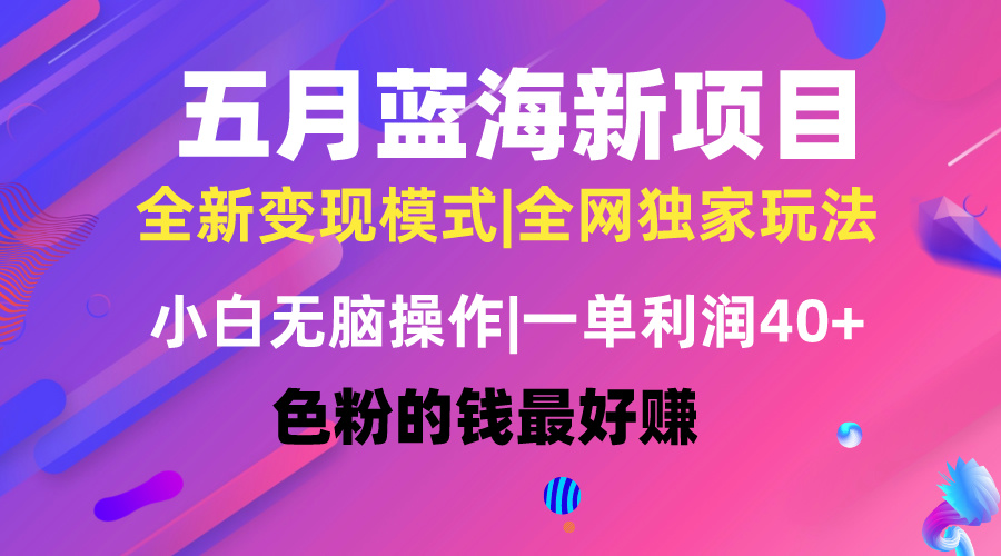 （10477期）五月蓝海项目全新玩法，小白无脑操作，一天几分钟，矩阵操作，月入4万+-占领资源网