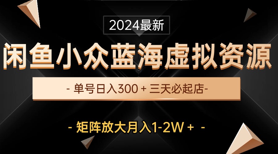 （10336期）最新闲鱼小众蓝海虚拟资源，单号日入300＋，三天必起店，矩阵放大月入1-2W-占领资源网