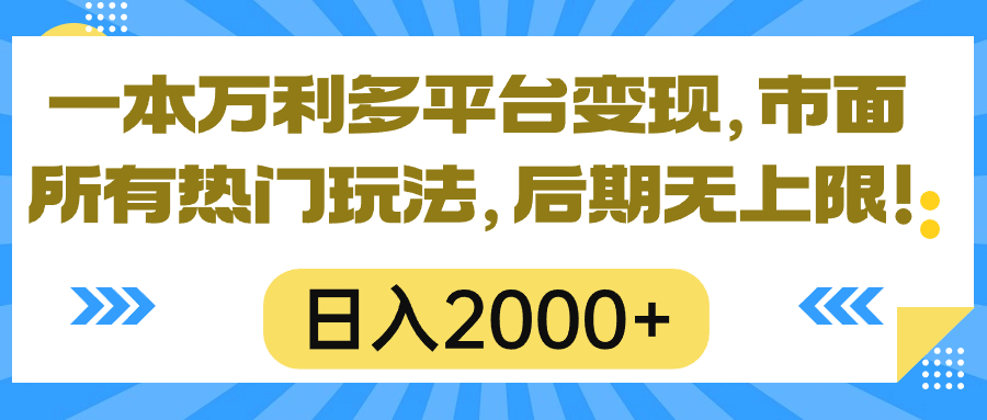 （10311期）一本万利多平台变现，市面所有热门玩法，日入2000+，后期无上限！-占领资源网