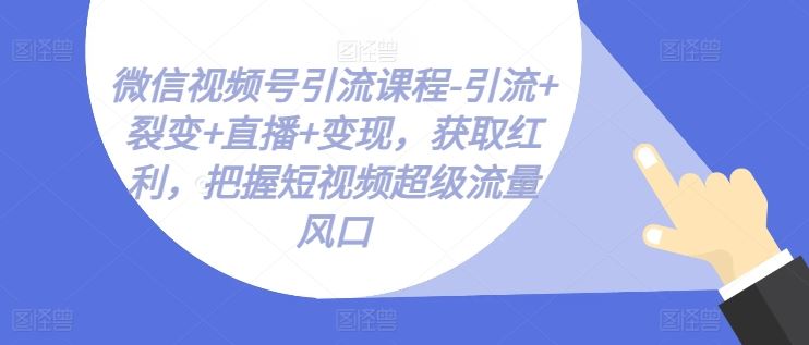 微信视频号引流课程-引流+裂变+直播+变现，获取红利，把握短视频超级流量风口-占领资源网
