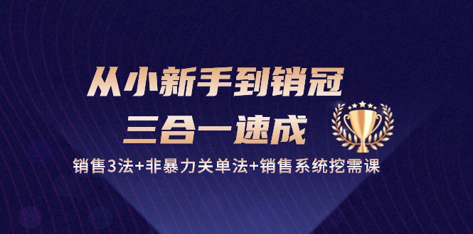 （10799期）从小新手到销冠 三合一速成：销售3法+非暴力关单法+销售系统挖需课 (27节)-占领资源网