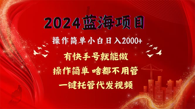 （10693期）2024蓝海项目，网盘拉新，操作简单小白日入2000+，一键托管代发视频，…-占领资源网