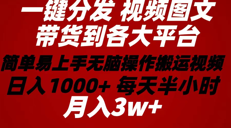 （10667期）2024年 一键分发带货图文视频  简单易上手 无脑赚收益 每天半小时日入1…-占领资源网