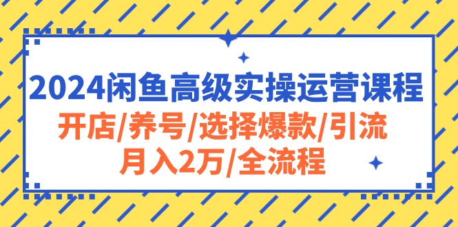（10711期）2024闲鱼高级实操运营课程：开店/养号/选择爆款/引流/月入2万/全流程-占领资源网