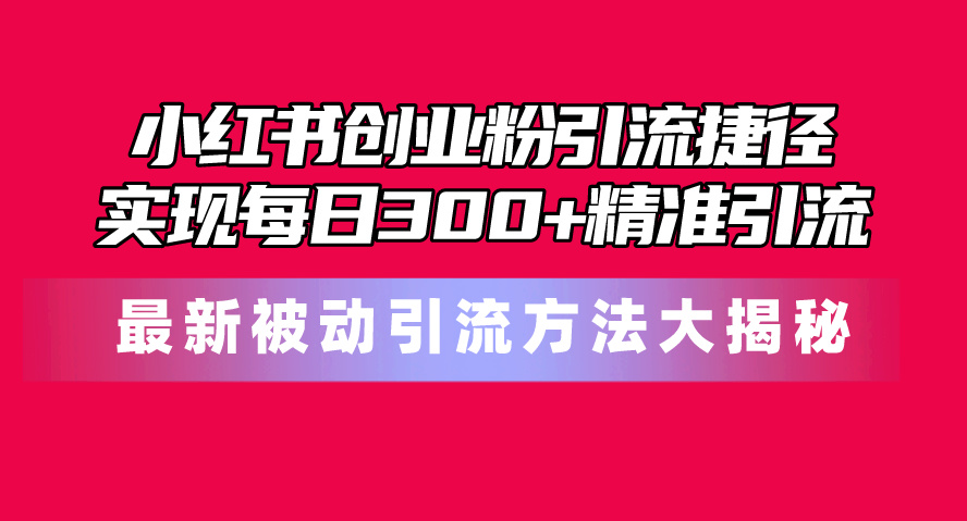 （10692期）小红书创业粉引流捷径！最新被动引流方法大揭秘，实现每日300+精准引流-占领资源网