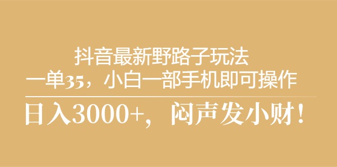 （10766期）抖音最新野路子玩法，一单35，小白一部手机即可操作，，日入3000+，闷…-占领资源网