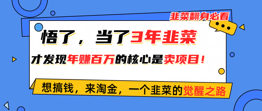 （10759期）悟了，当了3年韭菜，才发现网赚圈年赚100万的核心是卖项目，含泪分享！-占领资源网