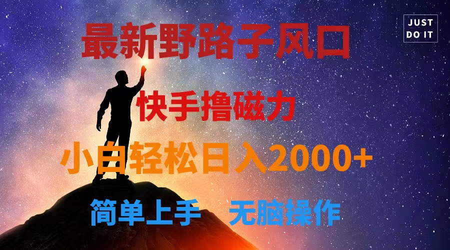 （10754期）最新风口！快手撸磁力，野路子，小白无脑操作日入2000+-占领资源网