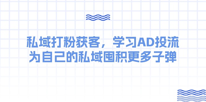 （10728期）某收费课：私域打粉获客，学习AD投流，为自己的私域囤积更多子弹-占领资源网