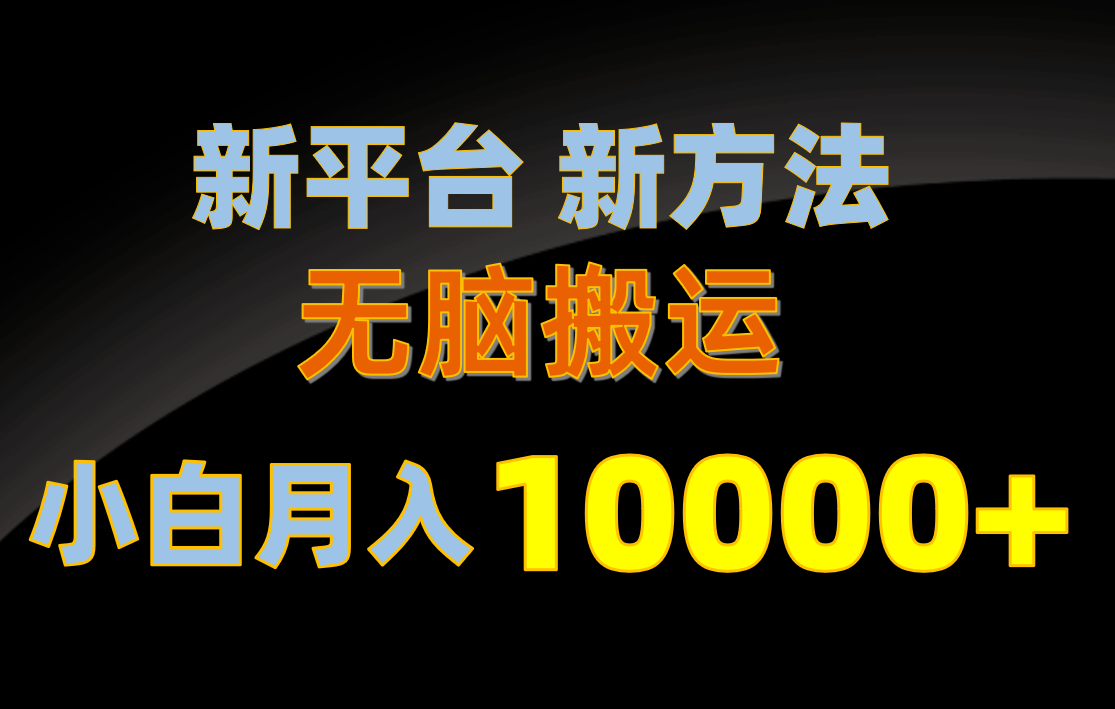 （10605期）新平台新方法，无脑搬运，月赚10000+，小白轻松上手不动脑-占领资源网