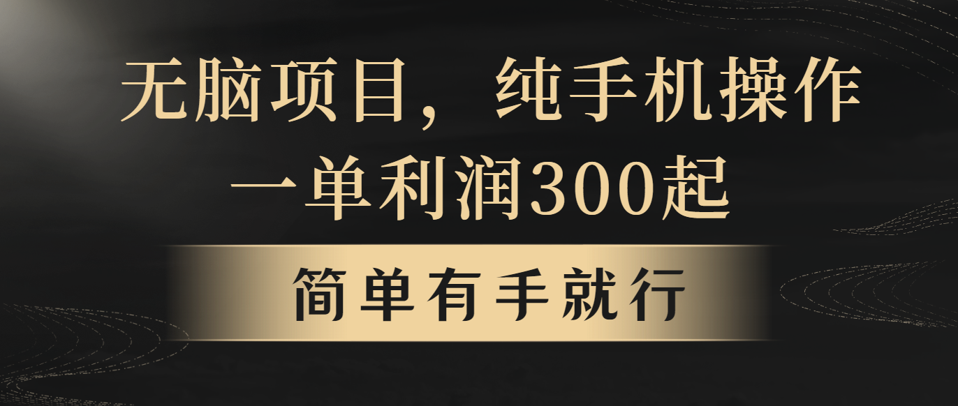（10589期）无脑项目，一单几百块，轻松月入5w+，看完就能直接操作-占领资源网