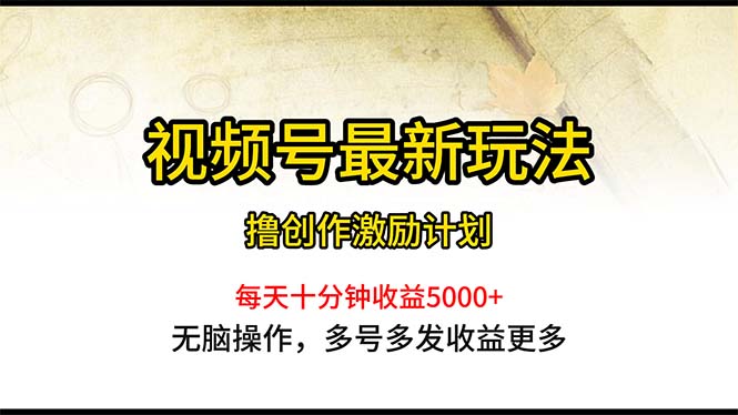 （10591期）视频号最新玩法，每日一小时月入5000+-占领资源网