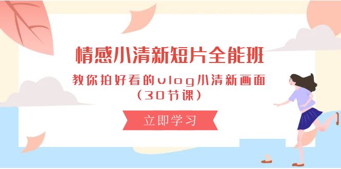 （10567期）情感 小清新短片-全能班，教你拍好看的vlog小清新画面 (30节课)-占领资源网