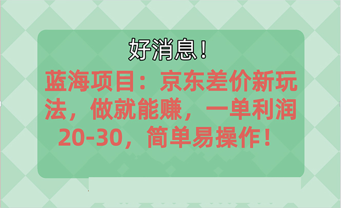 （10989期）越早知道越能赚到钱的蓝海项目：京东大平台操作，一单利润20-30，简单…-占领资源网