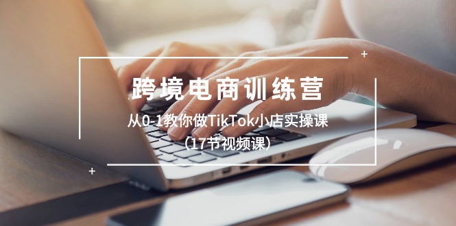 （10946期）跨境电商训练营：从0-1教你做TikTok小店实操课（17节视频课）-占领资源网