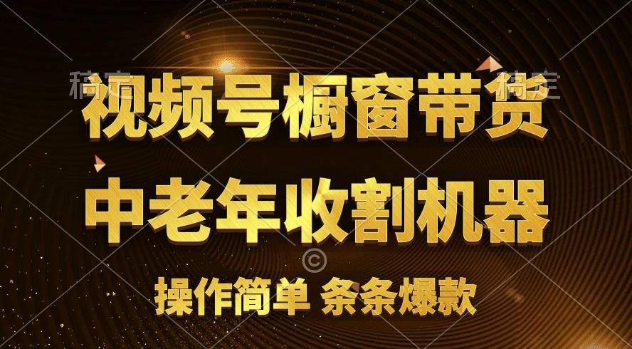 （11009期）[你的孩子成功取得高位]视频号最火爆赛道，橱窗带货，流量分成计划，条…-占领资源网