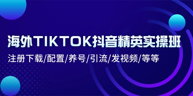 （10998期）海外TIKTOK抖音精英实操班：注册下载/配置/养号/引流/发视频/等等-占领资源网
