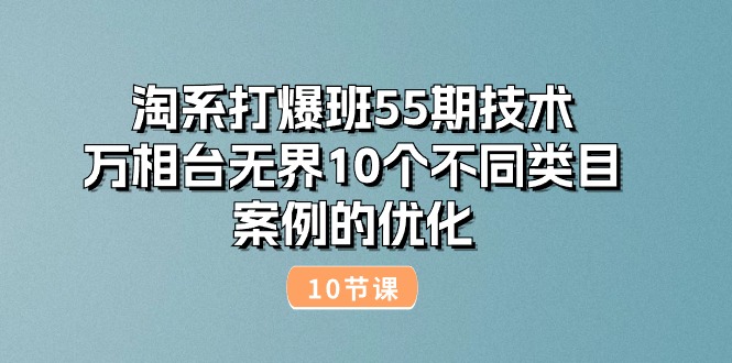 （10996期）淘系打爆班55期技术：万相台无界10个不同类目案例的优化（10节）-占领资源网