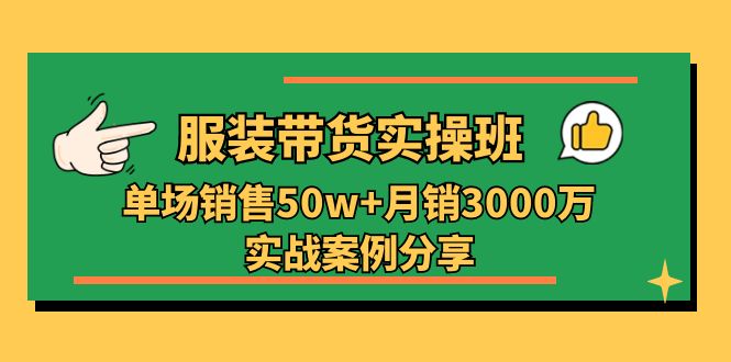（11071期）服装带货实操培训班：单场销售50w+月销3000万实战案例分享（27节）-占领资源网