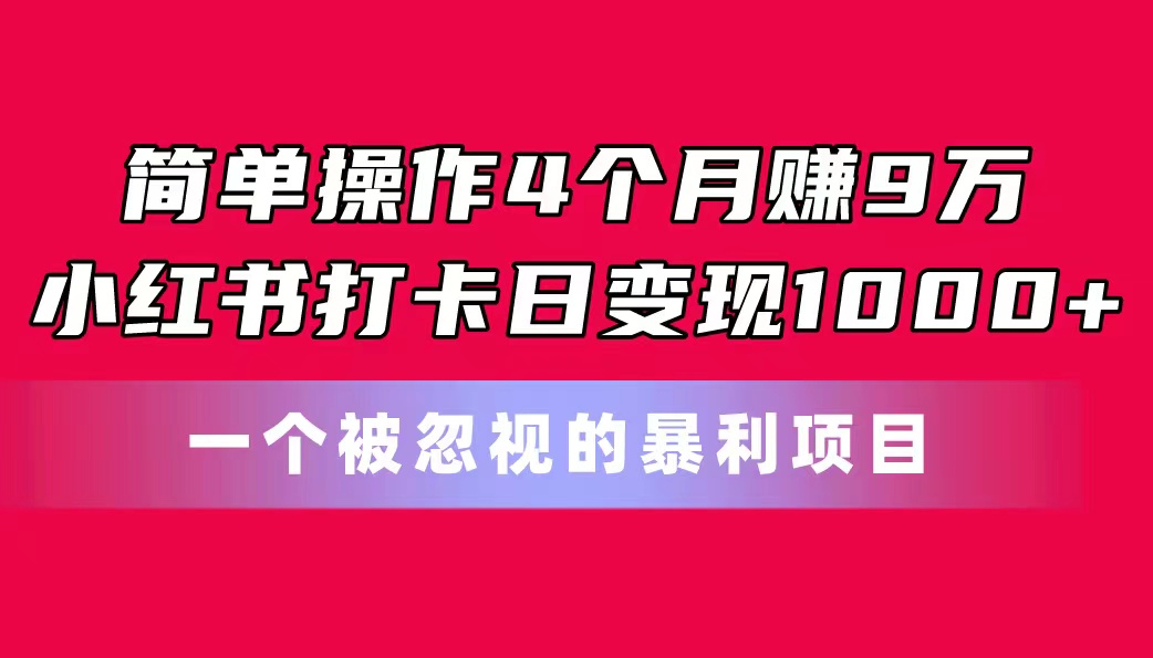 （11048期）简单操作4个月赚9万！小红书打卡日变现1000+！一个被忽视的暴力项目-占领资源网