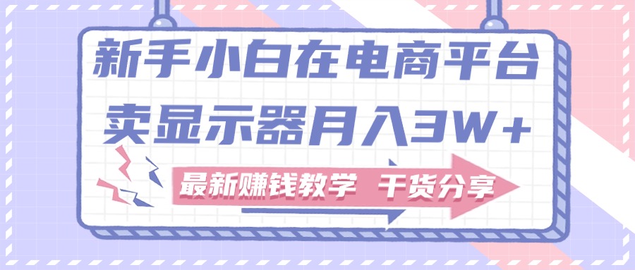 （11053期）新手小白如何做到在电商平台卖显示器月入3W+，最新赚钱教学干货分享-占领资源网