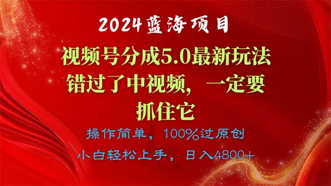 （11032期）2024蓝海项目，视频号分成计划5.0最新玩法，错过了中视频，一定要抓住…-占领资源网