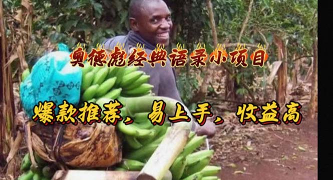 （11030期）奥德彪经典语录小项目，爆款推荐，易上手，收益高-占领资源网