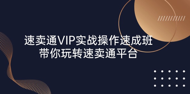 （10935期）速卖通 VIP实战操作-速成班，带你玩转速卖通平台（23节）-占领资源网