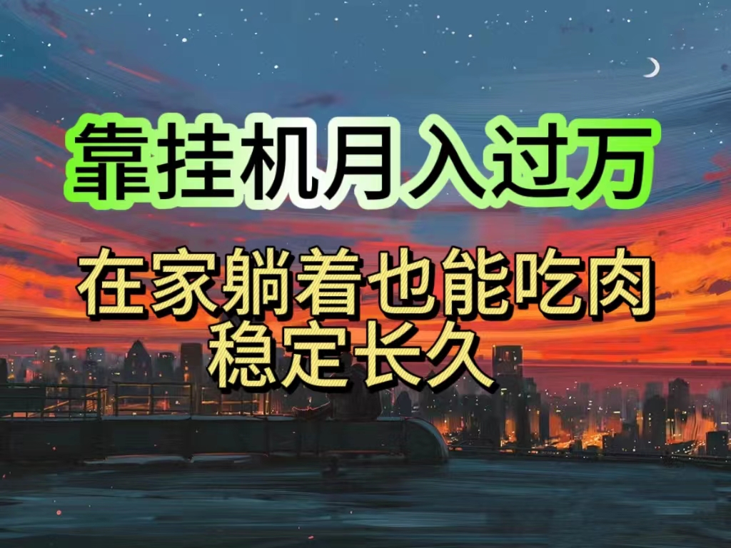 （10921期）挂机项目日入1000+，躺着也能吃肉，适合宝爸宝妈学生党工作室，电脑手…-占领资源网
