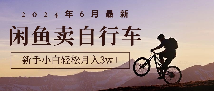 （10915期）2024年6月最新闲鱼卖自行车，新手小白轻松月入3w+项目-占领资源网