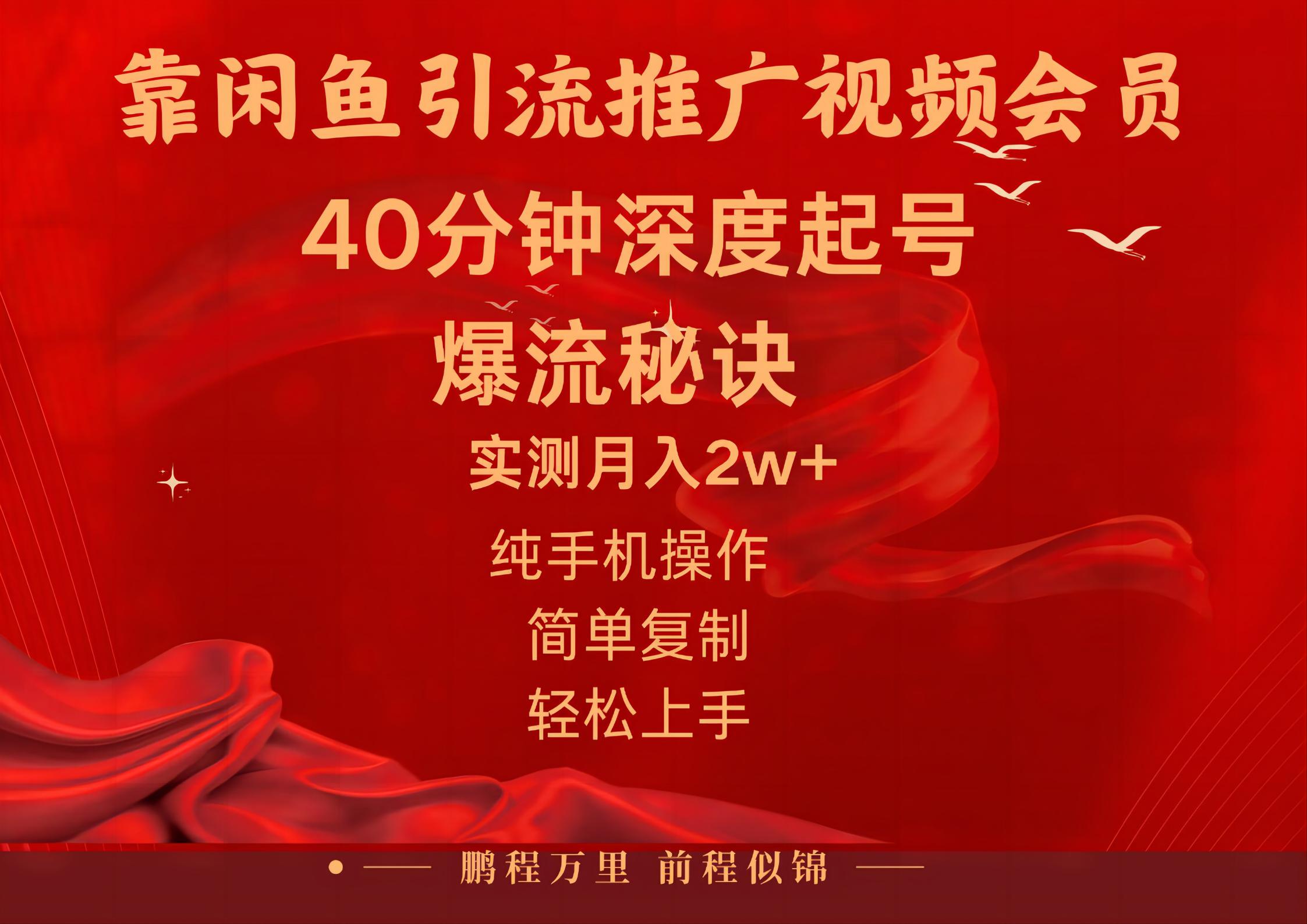 （10896期）闲鱼暴力引流推广视频会员，能做到日入2W+，操作简单-占领资源网