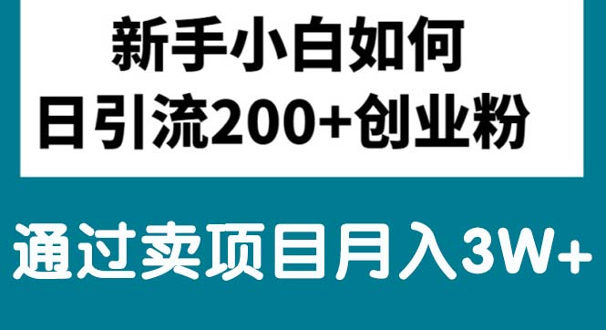 （10843期）新手小白日引流200+创业粉,通过卖项目月入3W+-占领资源网