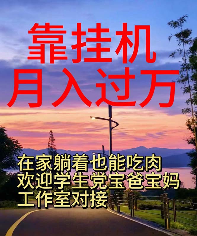 （10838期）靠挂机，日入1000+，躺着也能吃肉，适合宝爸宝妈学生党工作室，电脑手…-占领资源网