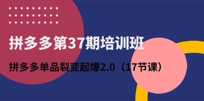 （10835期）拼多多第37期培训班：拼多多单品裂变起爆2.0（17节课）-占领资源网