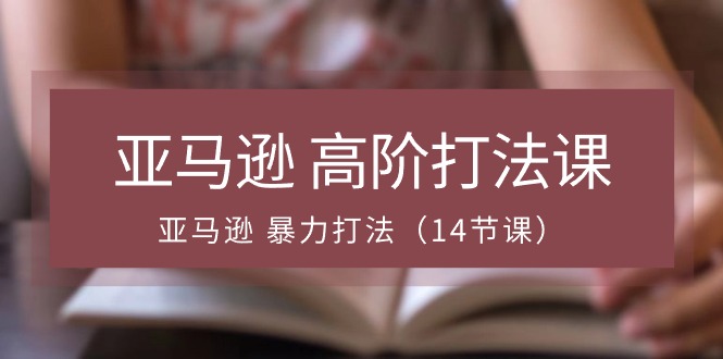 （10870期）亚马逊 高阶打法课，亚马逊 暴力打法（14节课）-占领资源网