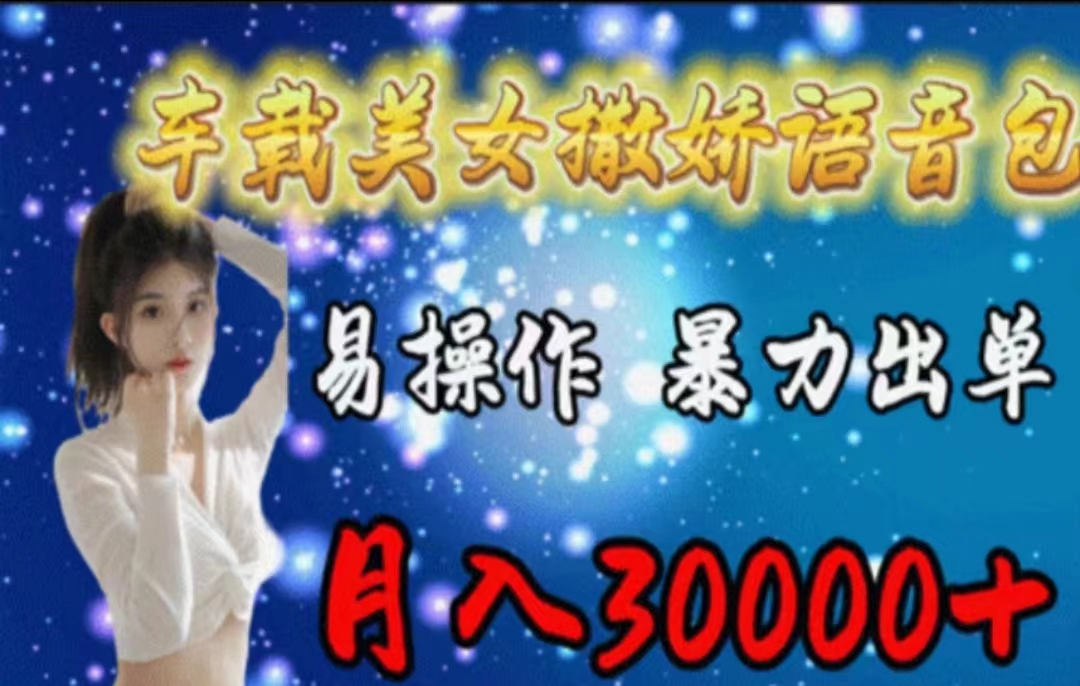 （11249期）车载美女撒娇语音包，执行就出单，月入3000＋，小白看完课程就能马上实操-占领资源网