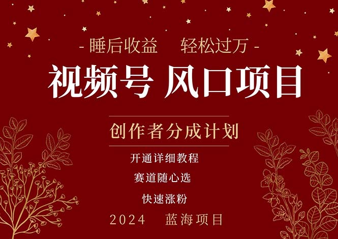 （11331期）拥有睡眠收益的微信视频号大风口项目，轻松月入过万+，多赛道选择，可…-占领资源网