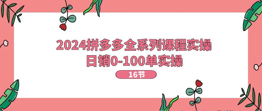 （11222期）2024拼多多全系列课程实操，日销0-100单实操【16节课】-占领资源网