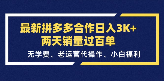 （11291期）最新拼多多合作日入3K+两天销量过百单，无学费、老运营代操作、小白福利-占领资源网