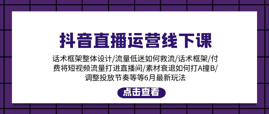 （11211期）抖音直播运营线下课：话术框架/付费流量直播间/素材A撞B/等6月新玩法-占领资源网