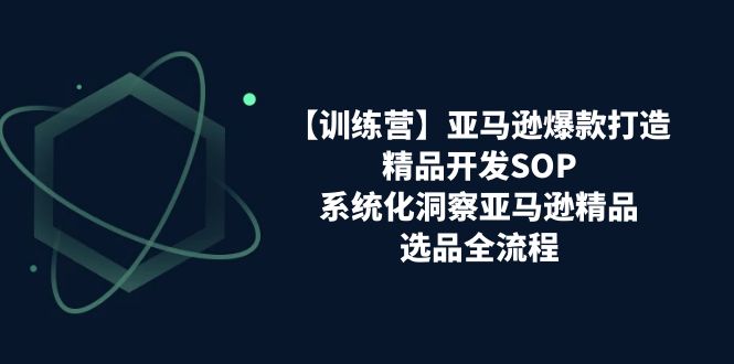 （11210期）【训练营】亚马逊爆款打造之精品开发SOP，系统化洞察亚马逊精品选品全流程-占领资源网
