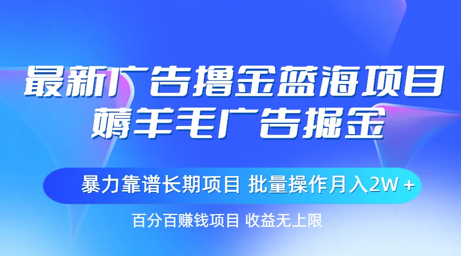 （11193期）最新广告撸金蓝海项目，薅羊毛广告掘金 长期项目 批量操作月入2W＋-占领资源网