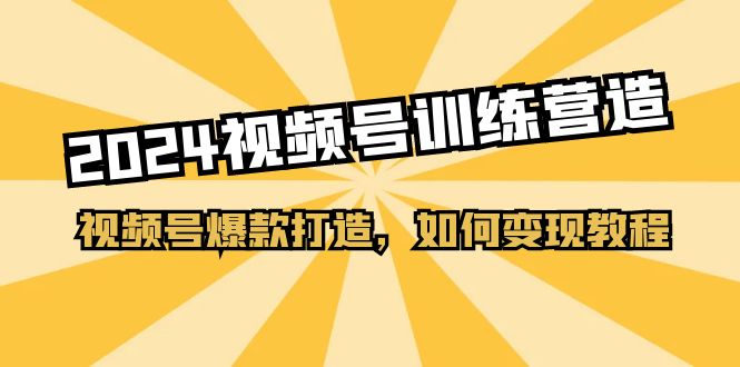 （11135期）2024视频号训练营，视频号爆款打造，如何变现教程（20节课）-占领资源网