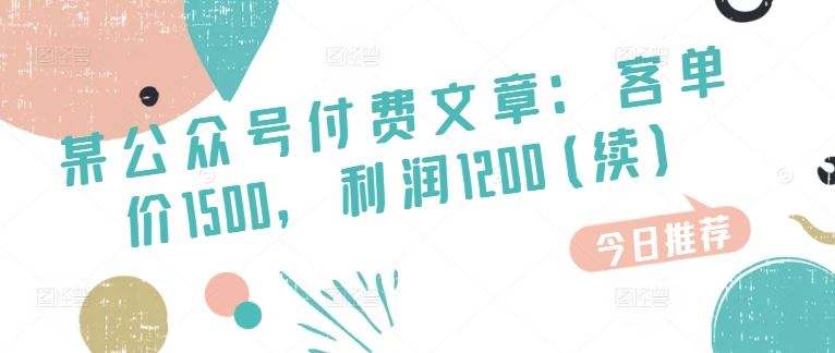 某公众号付费文章：客单价1500，利润1200(续)，市场几乎可以说是空白的-占领资源网