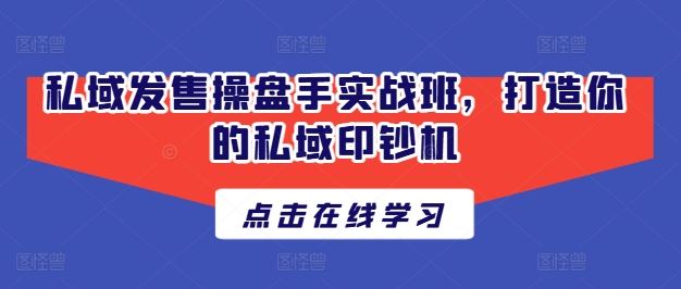私域发售操盘手实战班，打造你的私域印钞机-占领资源网