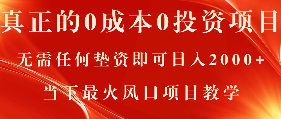 （11387期）真正的0成本0投资项目，无需任何垫资即可日入2000+，当下最火风口项目教学-占领资源网