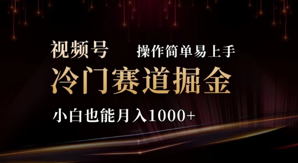 （11378期）2024视频号冷门赛道掘金，操作简单轻松上手，小白也能月入1000+-占领资源网