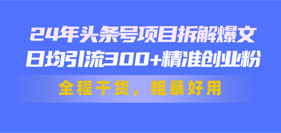 （11397期）24年头条号项目拆解爆文，日均引流300+精准创业粉，全程干货，粗暴好用-占领资源网
