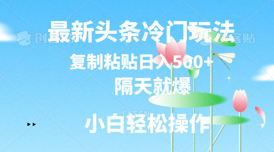 （11414期）最新头条冷门玩法，隔天就爆，复制粘贴日入500+-占领资源网